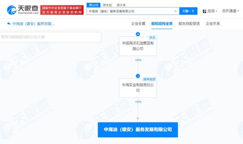 中國海油在雄安成立服務發展公司，注冊資本1億聚焦網絡技術服務